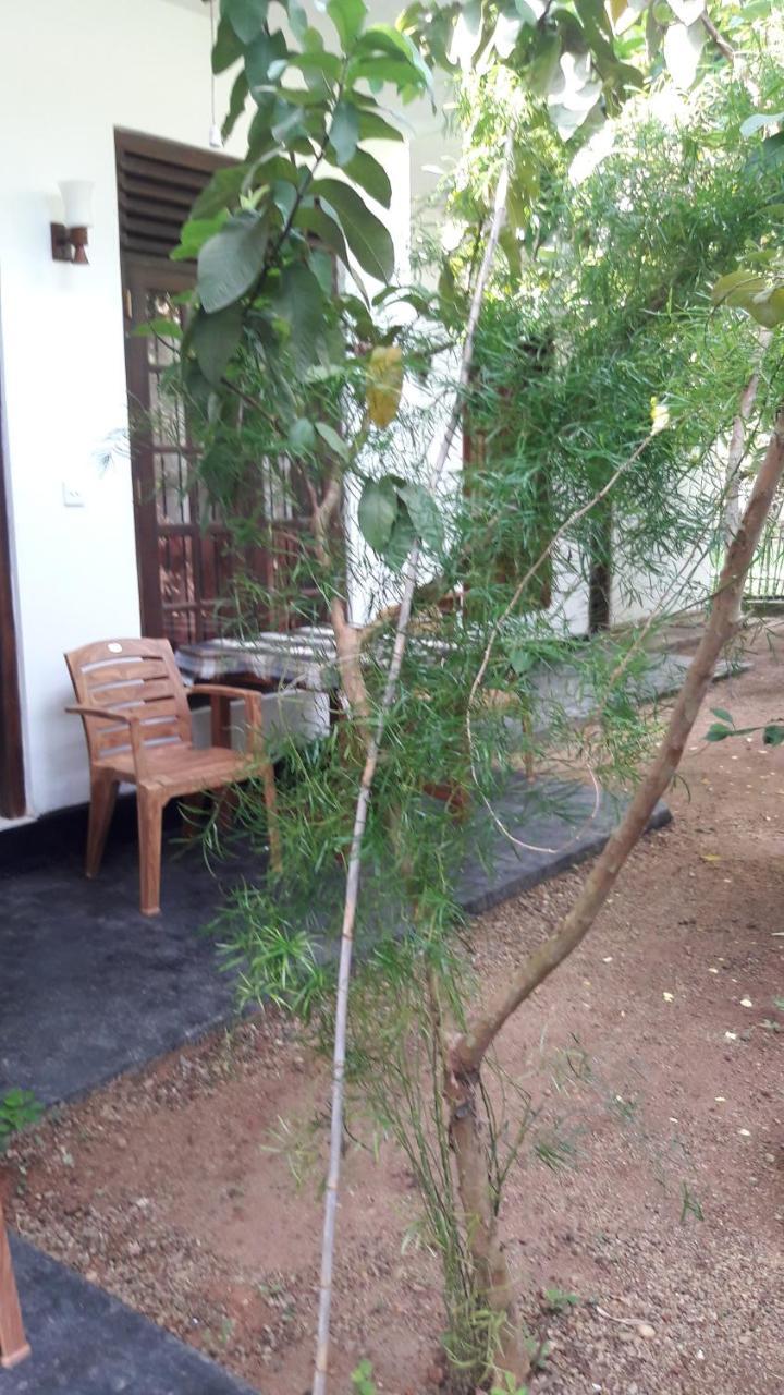 Serene Niche Mirissa Kültér fotó